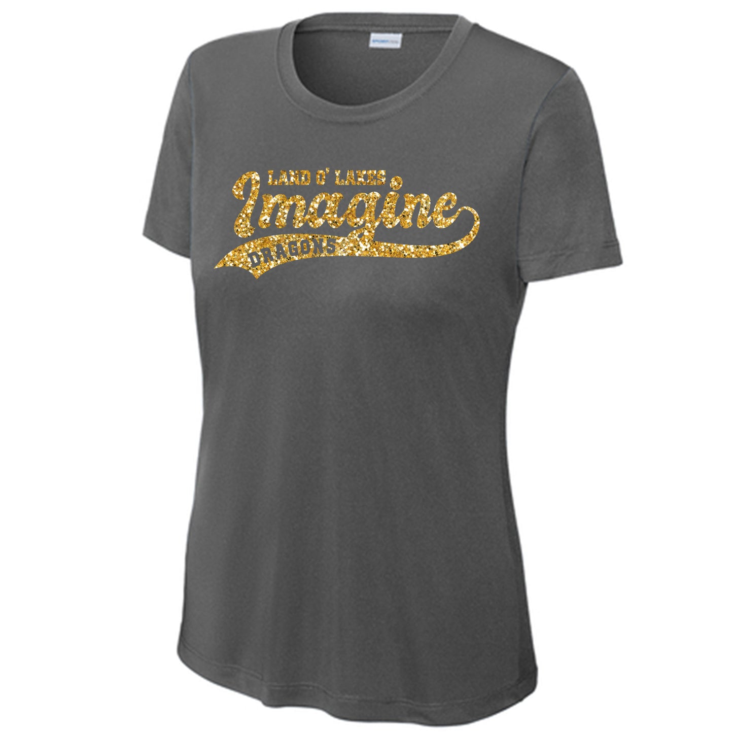 Imagine School Land O' Lakes Parent Ladies Drifit Spirit Tee Glitter